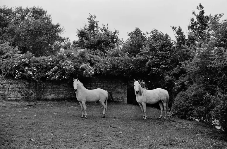 Франция на снимках Гарри Груйера. Часть 1 humus