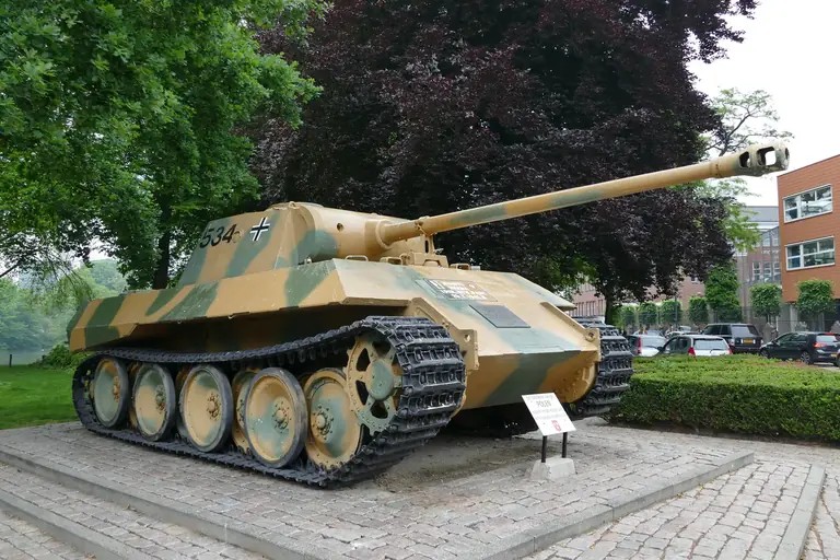 Подарочная немецкая кошка в Нидерландах yuripasholok