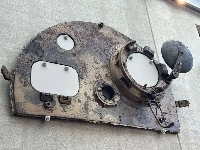 Тигриный скальп yuripasholok