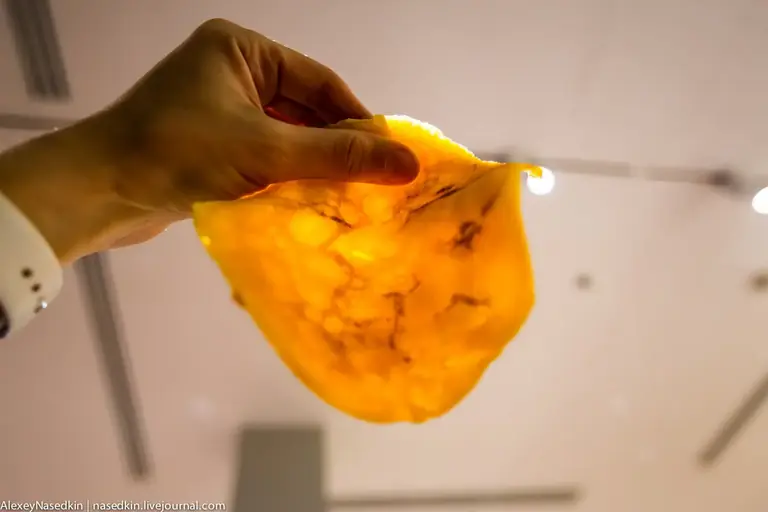 Масленица, которая запрещена nasedkin