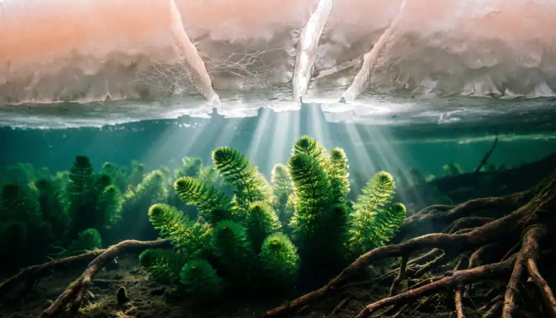 Главный зажим в теле современного человека psyteaman