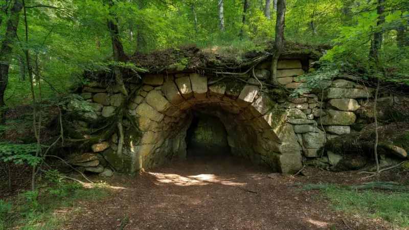 Проклятый колодец в Тверской области: почему о нем заговорили на YouTube psyteaman